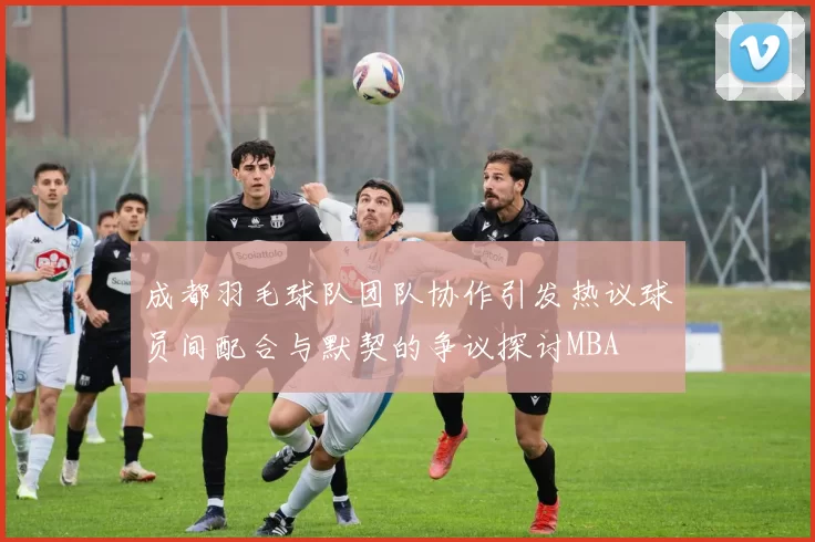 成都羽毛球队团队协作引发热议球员间配合与默契的争议探讨MBA