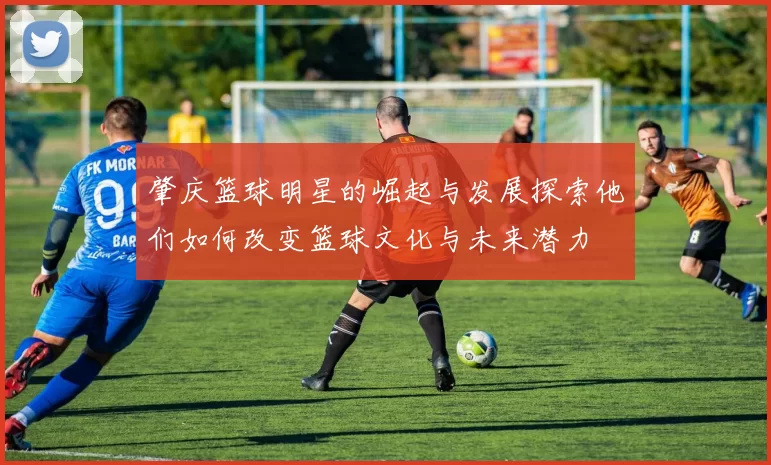 肇庆篮球明星的崛起与发展探索他们如何改变篮球文化与未来潜力
